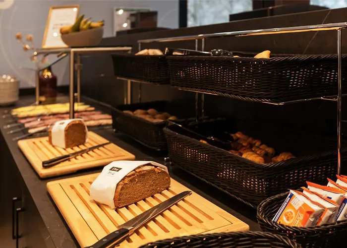 Hotel - The Niu, Mood By Ihg Moguncja