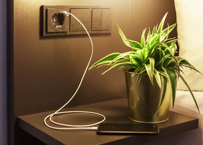 - The Niu, Mood By Ihg Hotel 3*